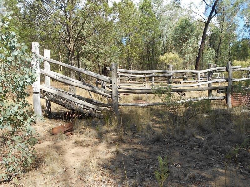 1642 Kangarooby Road, Gooloogong NSW 2805