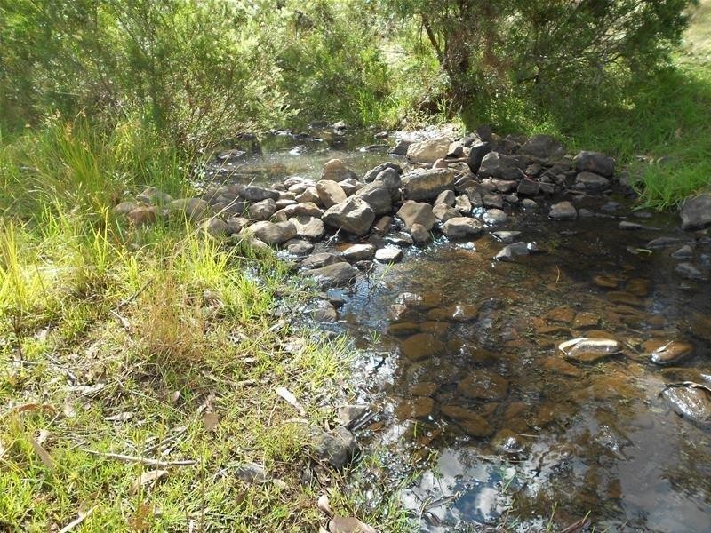 1642 Kangarooby Road, Gooloogong NSW 2805