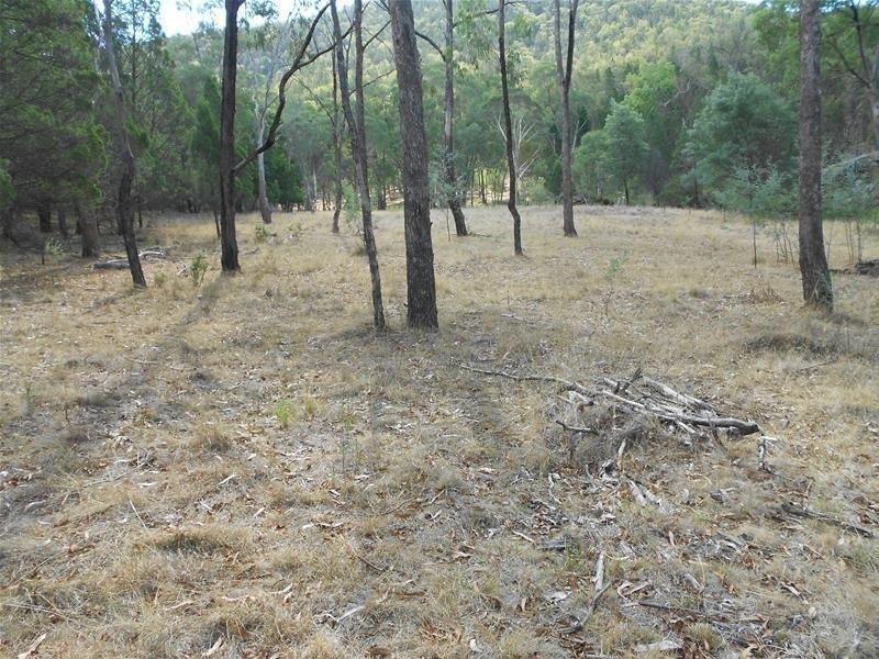 1642 Kangarooby Road, Gooloogong NSW 2805