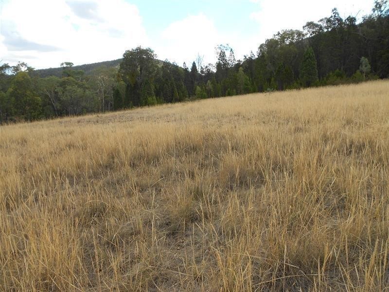 1642 Kangarooby Road, Gooloogong NSW 2805