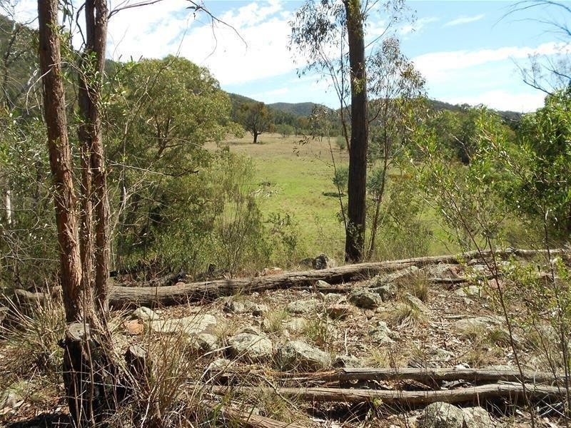 1642 Kangarooby Road, Gooloogong NSW 2805