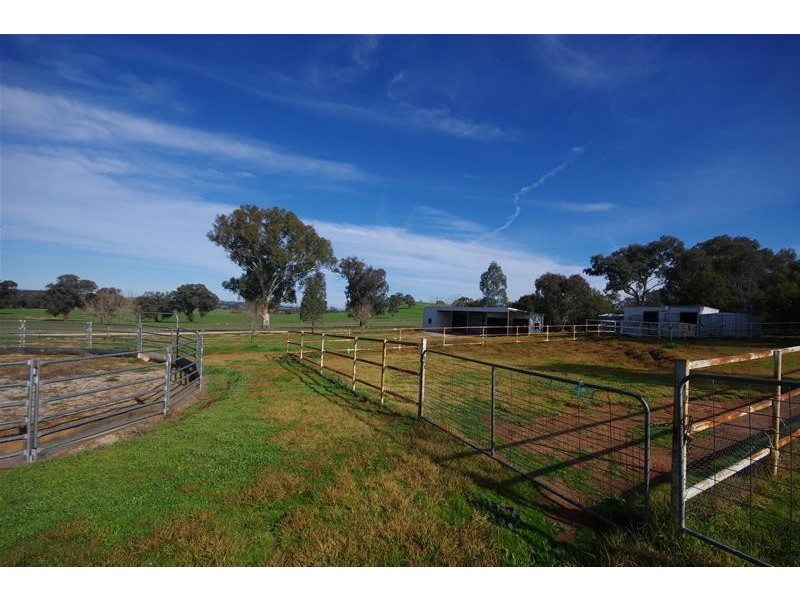 171 Elouera Road, Cowra NSW 2794