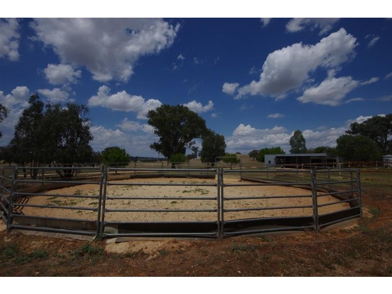 171 Elouera Road, Cowra NSW 2794