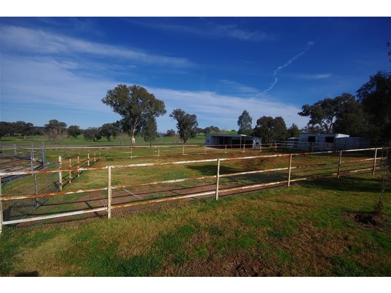 171 Elouera Road, Cowra NSW 2794
