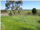 2005 Casuarina Drive, Gooloogong NSW 2805