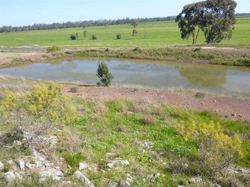 2005 Casuarina Drive, Gooloogong NSW 2805