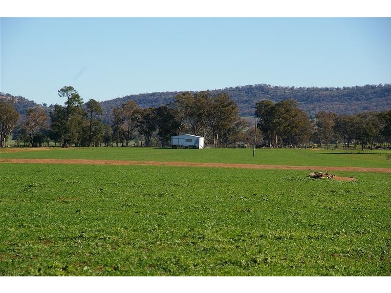Grenfell Road, Gooloogong NSW 2805