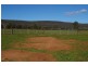 Grenfell Road, Gooloogong NSW 2805
