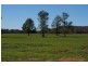 Grenfell Road, Gooloogong NSW 2805