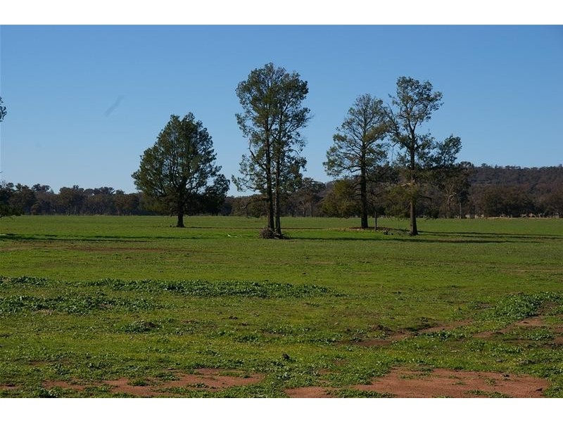 Grenfell Road, Gooloogong NSW 2805