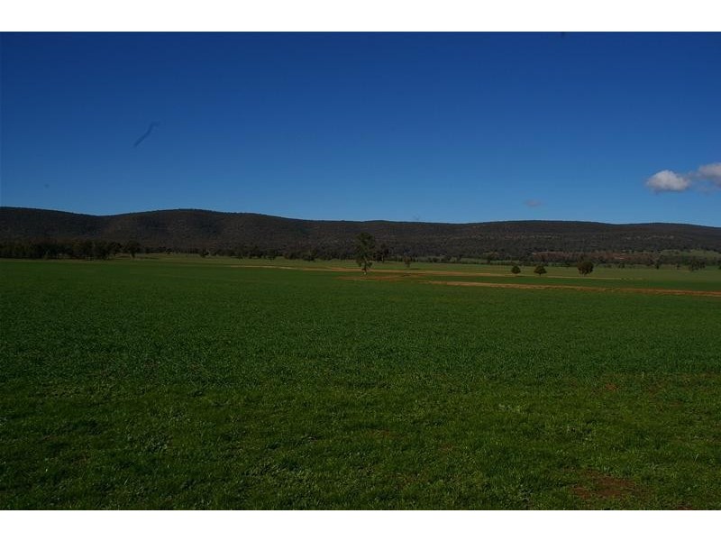 Grenfell Road, Gooloogong NSW 2805