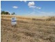 Lot 102,  Lot 102 Kangaroo Flat Road, Cowra NSW 2794
