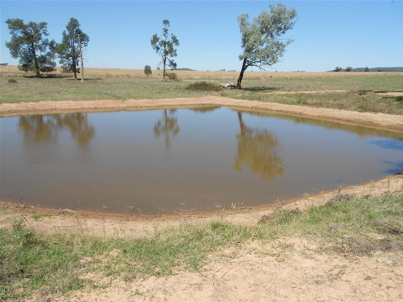 1 & 2 Waterview Road, Gooloogong NSW 2805