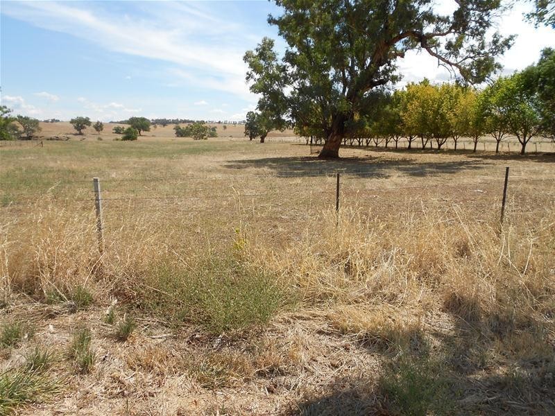 39 Elouera Road, Cowra NSW 2794