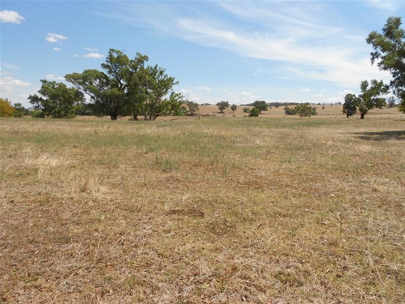 39 Elouera Road, Cowra NSW 2794