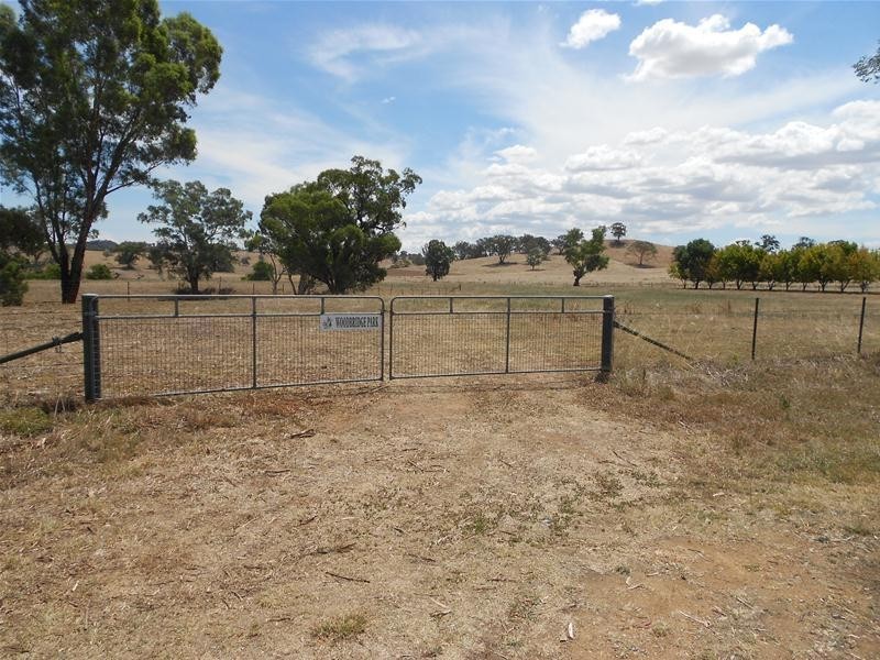 39 Elouera Road, Cowra NSW 2794