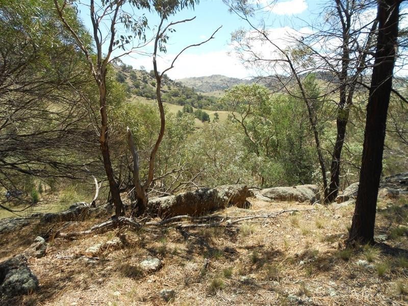 38 Lachlan Waters Road, Wyangala NSW 2808