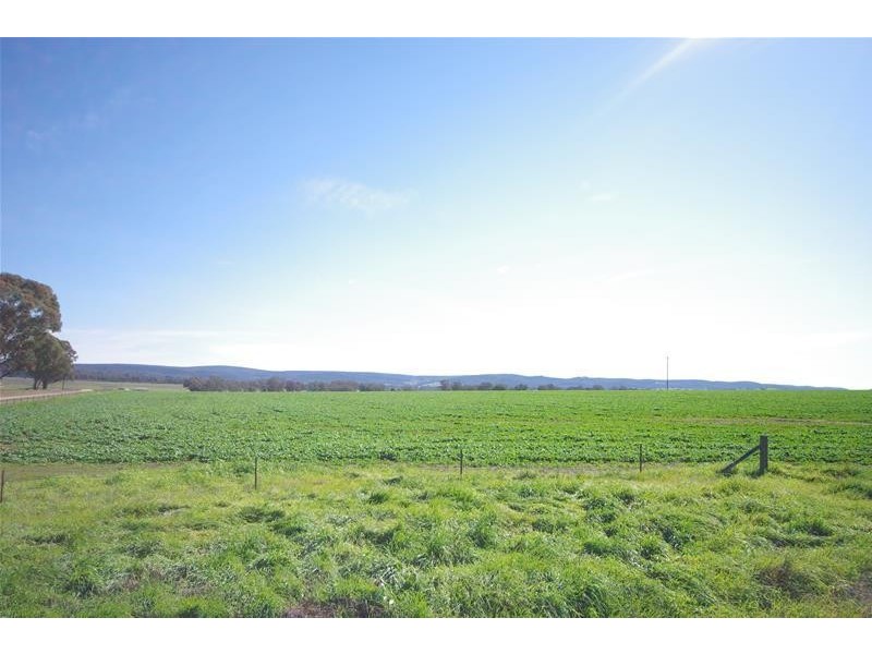 Sheep Station Road, Cowra NSW 2794