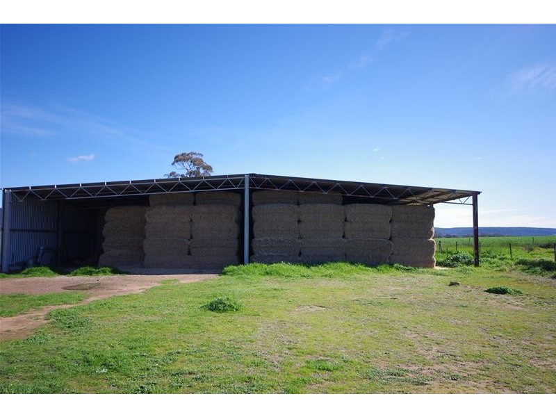 Sheep Station Road, Cowra NSW 2794