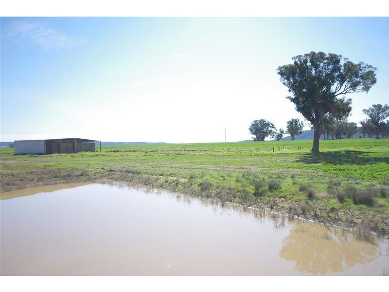 Sheep Station Road, Cowra NSW 2794