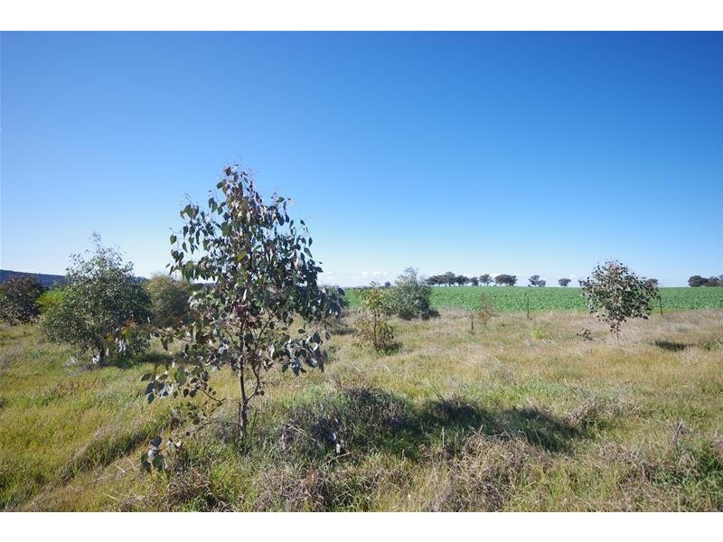 Sheep Station Road, Cowra NSW 2794