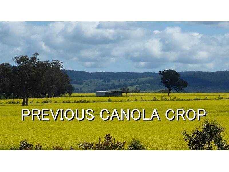 Sheep Station Road, Cowra NSW 2794