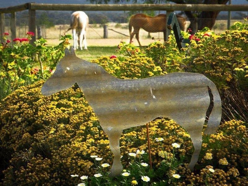 61 Middle Creek Road, Cowra NSW 2794