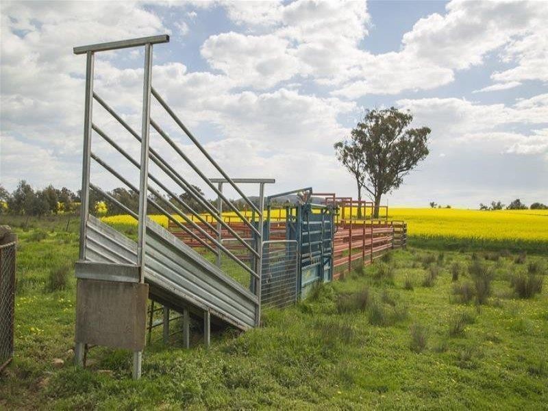 61 Middle Creek Road, Cowra NSW 2794