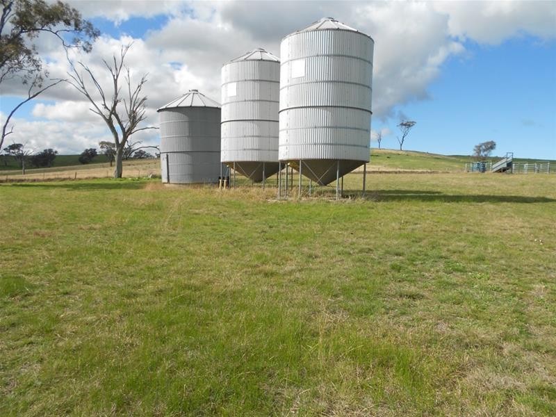 Reg Hailstone Way, Woodstock NSW 2793