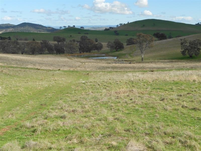 Reg Hailstone Way, Woodstock NSW 2793