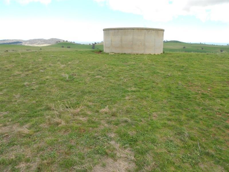 Reg Hailstone Way, Woodstock NSW 2793