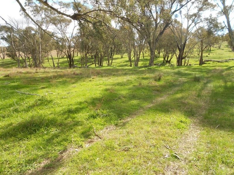 Reg Hailstone Way, Woodstock NSW 2793