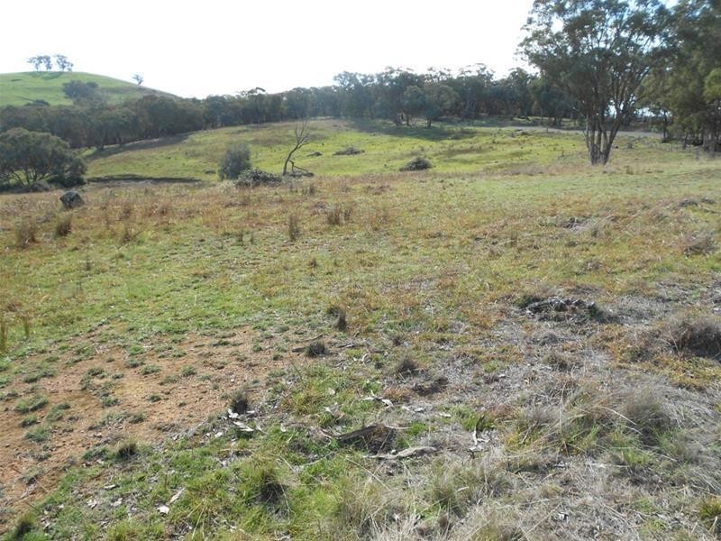 2019 Reg Hailstone Way, Woodstock NSW 2793