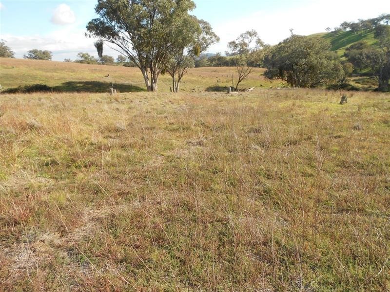 2019 Reg Hailstone Way, Woodstock NSW 2793