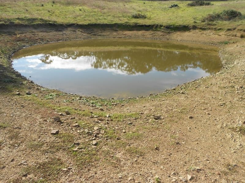 2019 Reg Hailstone Way, Woodstock NSW 2793