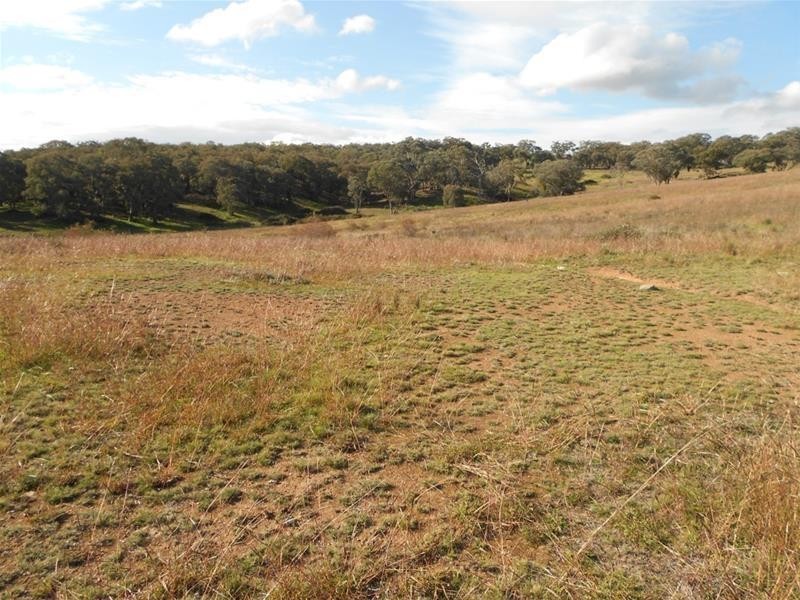 2019 Reg Hailstone Way, Woodstock NSW 2793