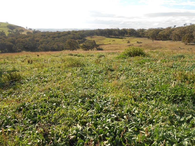 2019 Reg Hailstone Way, Woodstock NSW 2793