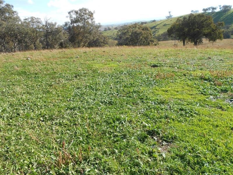 2019 Reg Hailstone Way, Woodstock NSW 2793