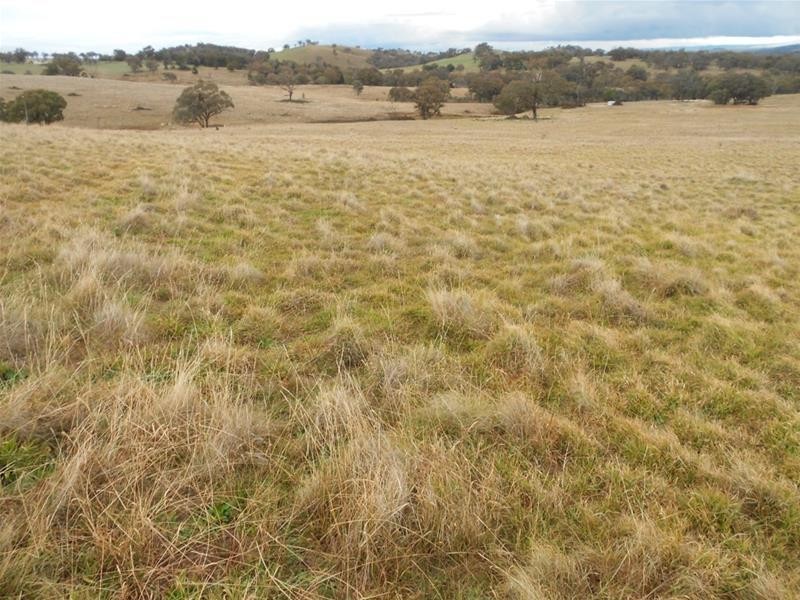 83 Horton Drive, Woodstock NSW 2793