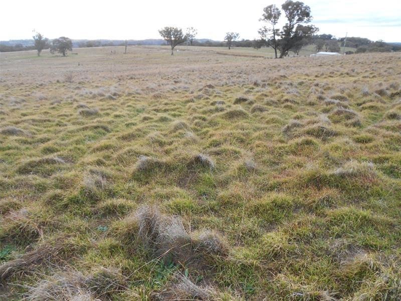 83 Horton Drive, Woodstock NSW 2793