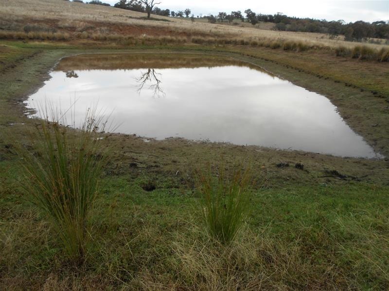 83 Horton Drive, Woodstock NSW 2793