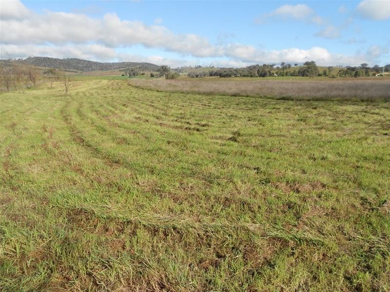 56 Tallarook Road, Cowra NSW 2794