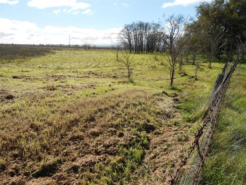 56 Tallarook Road, Cowra NSW 2794