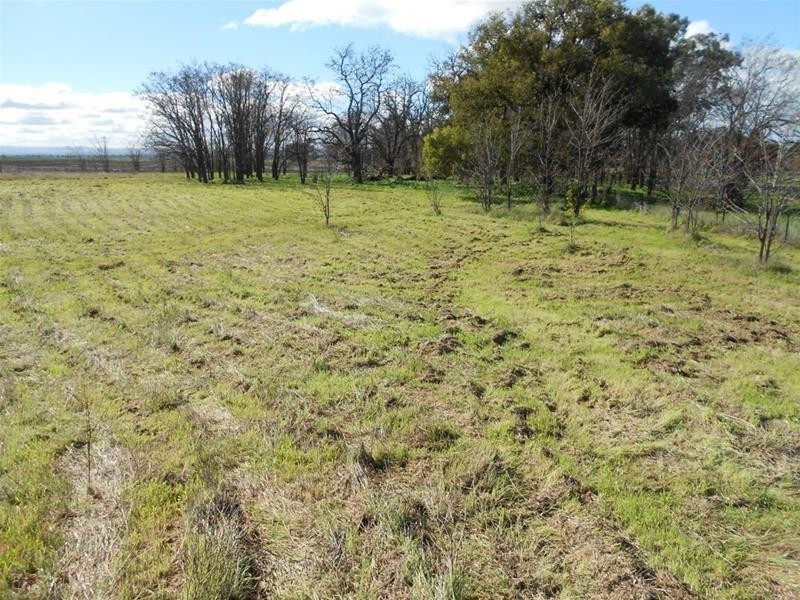 56 Tallarook Road, Cowra NSW 2794