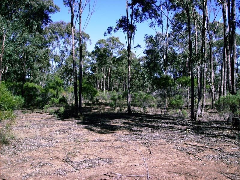 109 Goodwins Lookout Road, Cowra NSW 2794