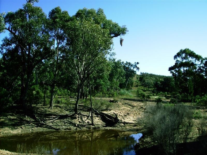 109 Goodwins Lookout Road, Cowra NSW 2794