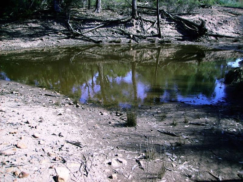 109 Goodwins Lookout Road, Cowra NSW 2794