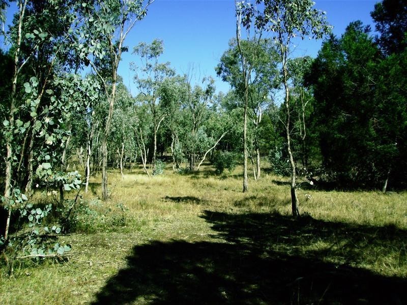 109 Goodwins Lookout Road, Cowra NSW 2794