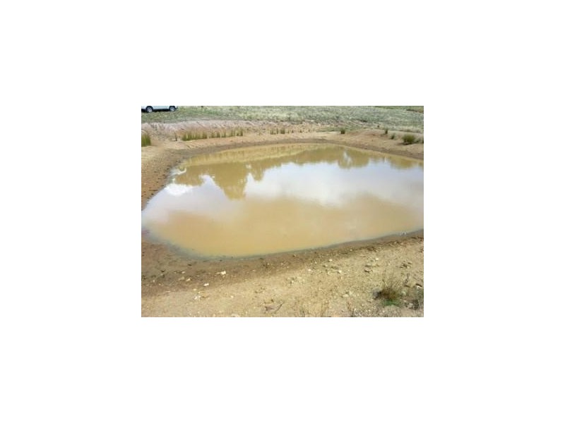 29 Horton Drive, Woodstock NSW 2793