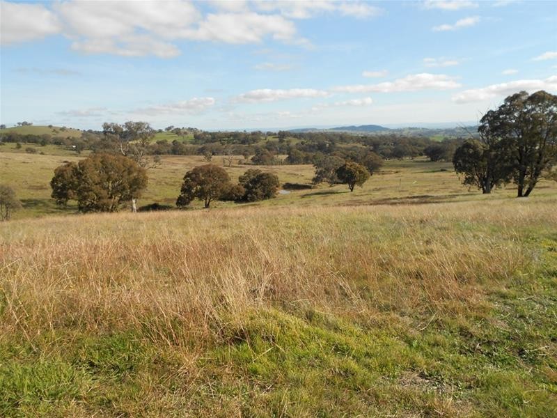 29 Horton Drive, Woodstock NSW 2793